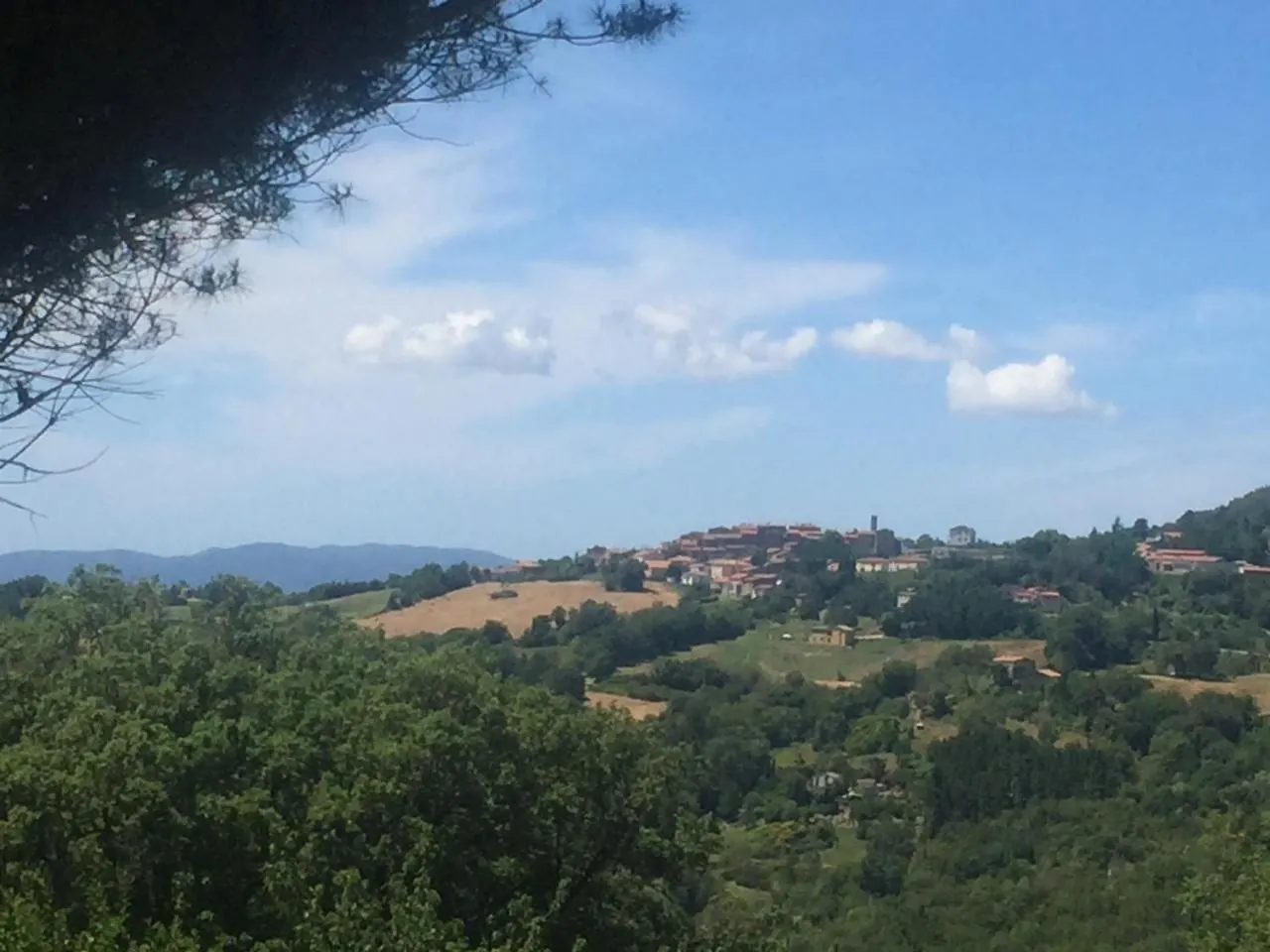 B&B Podere Camaiano Roccastrada Bed & Breakfast